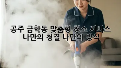 공주 금학동 맞춤형 청소 서비스: 나만의 청결, 나만의 방식